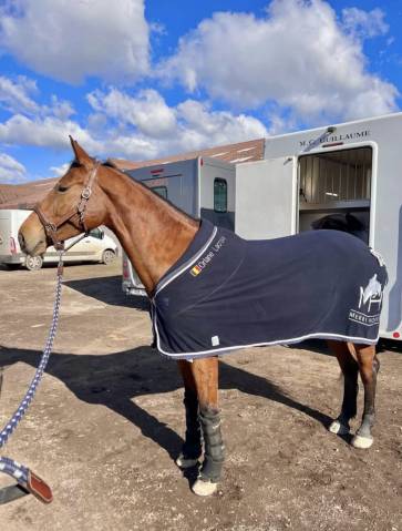 QUENELLE D'ARCHONFOSSE, 10Y, Jument&nbsp;CSO