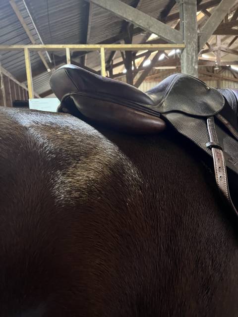 Selle cwd