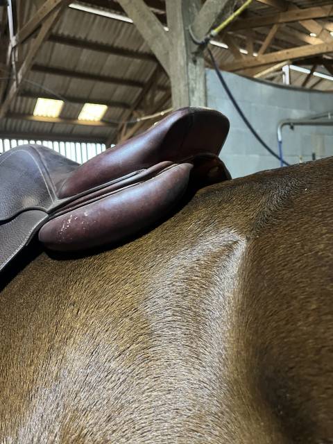 Selle cwd