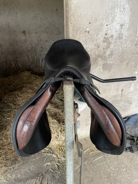 Selle Forestier 17,5