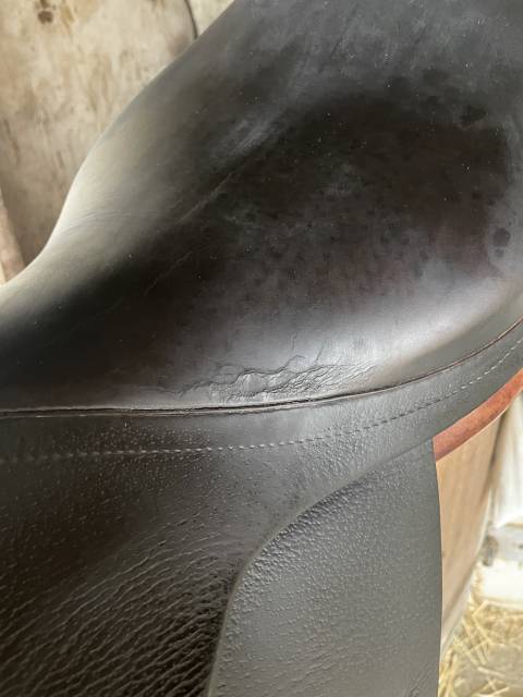Selle Forestier 17,5