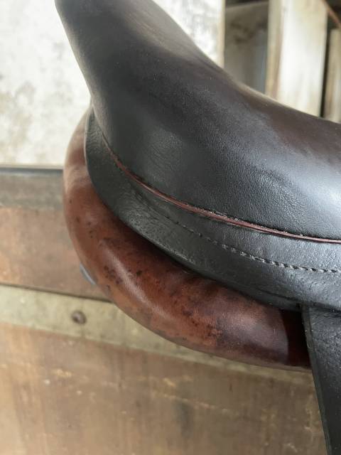 Selle Forestier 17,5