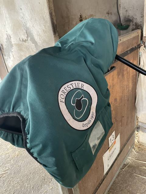 Selle Forestier 17,5