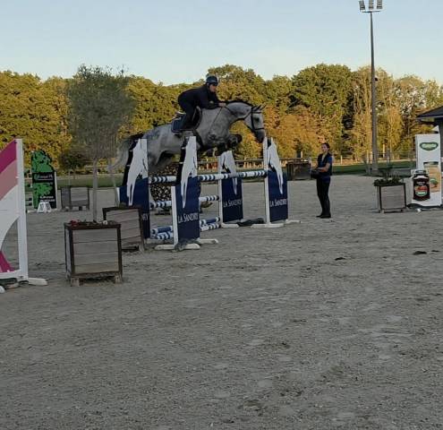 Jument de 6 ans sport 