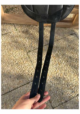 La AACHEN Forestier dressage 