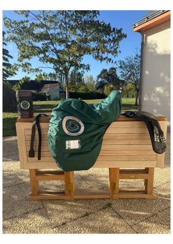 La AACHEN Forestier dressage 