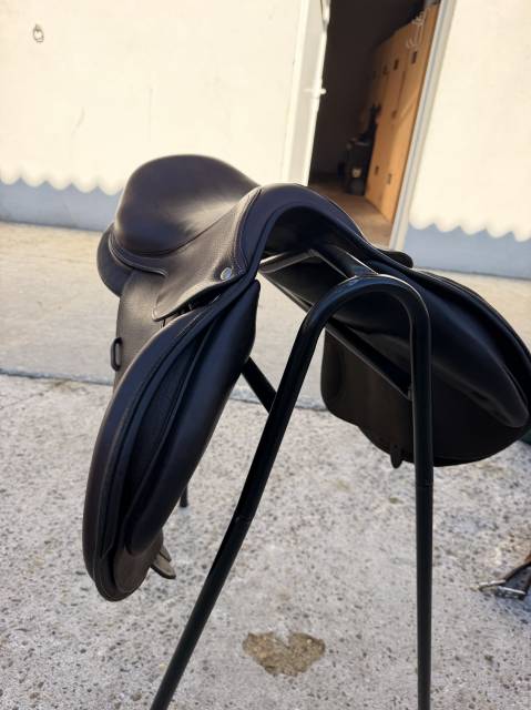 Selle S&eacute;oul forestier 