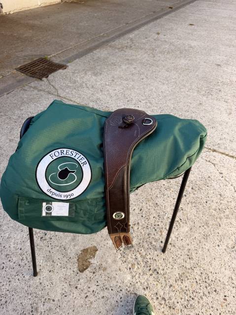 Selle S&eacute;oul forestier 