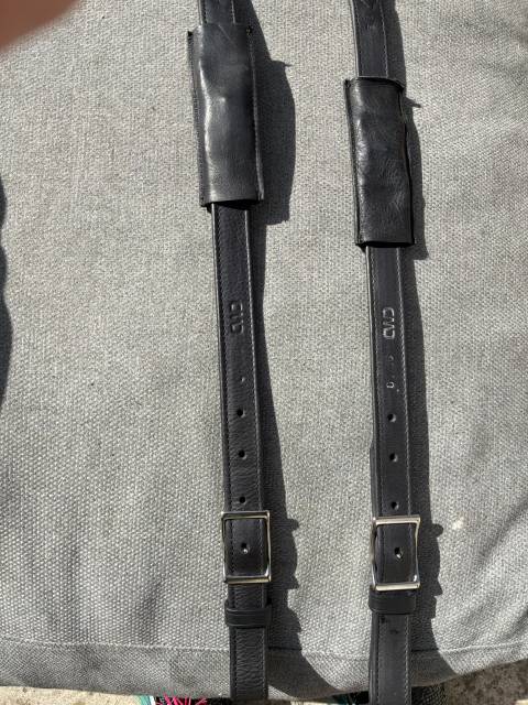 Selle de dressage CWD