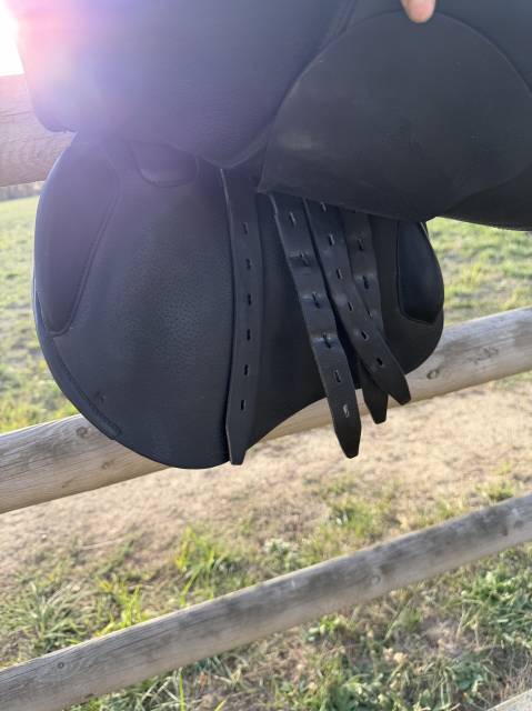 Selle amerigo