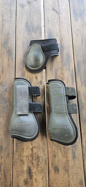 Protections cheval (ant&eacute;rieurs)+1 prot&egrave;ge-boulet offert