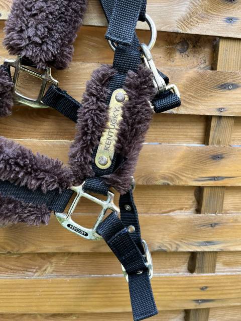 licol kentucky   taille poney 