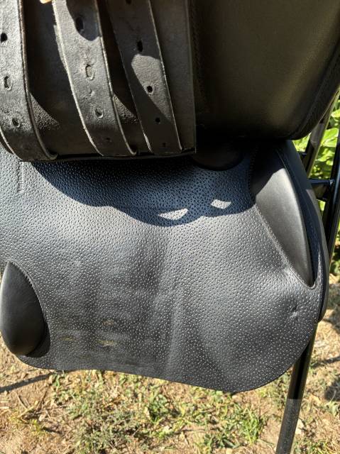 Selle Forestier S&eacute;oul