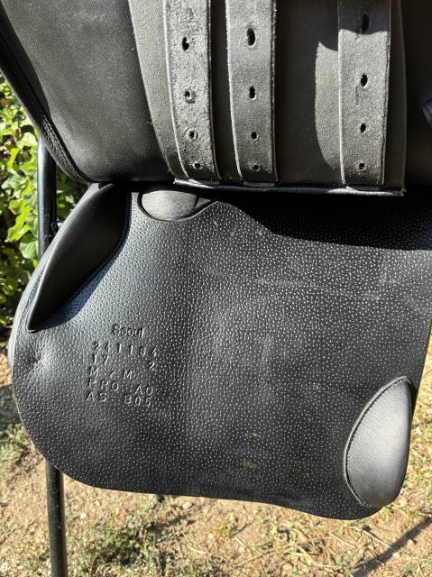Selle Forestier S&eacute;oul