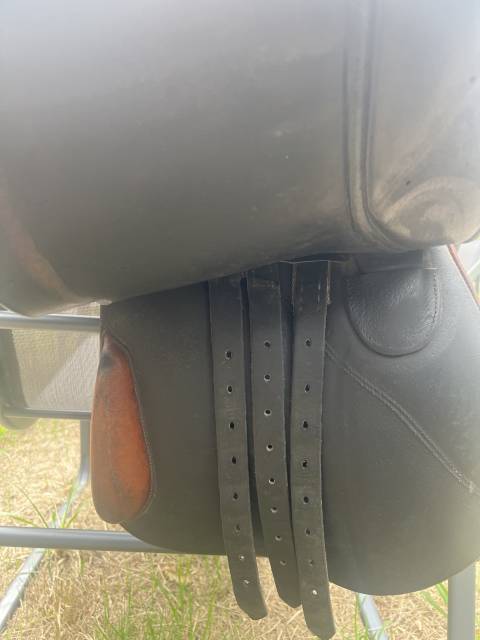 Selle mixte Forestier 17,5