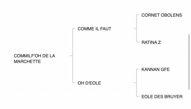 Pouliche BWP 
