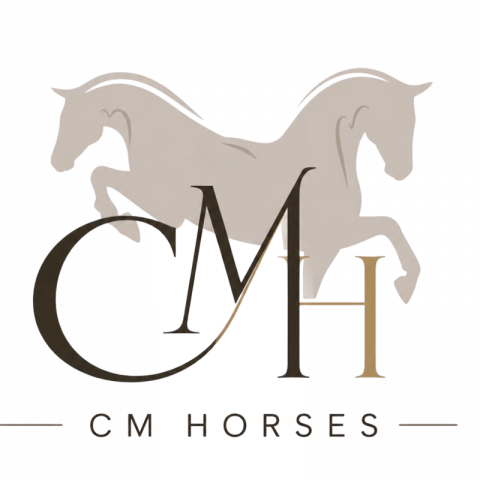 CM Horses &ndash; courtage chevaux de sport dressage & CSO