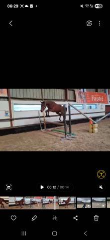 Ponette comme il faut x nabab 