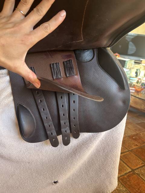 Selle Forestier 17&rsquo; ann&eacute;e 2022