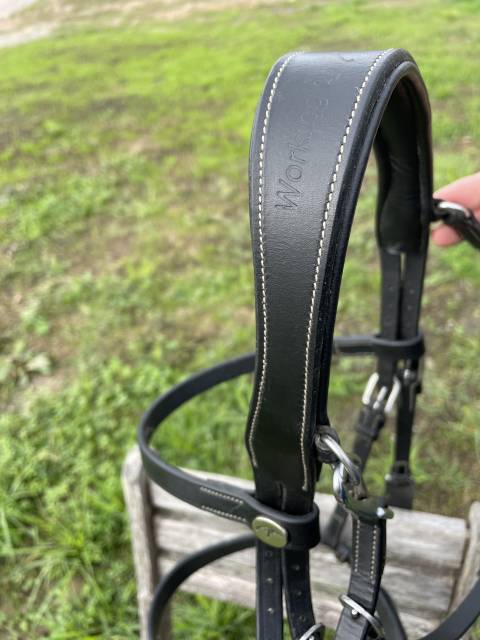 Bridon plat Dy'on - Taille Cob - Noir