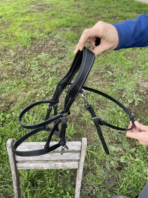 Bridon plat Dy'on - Taille Cob - Noir