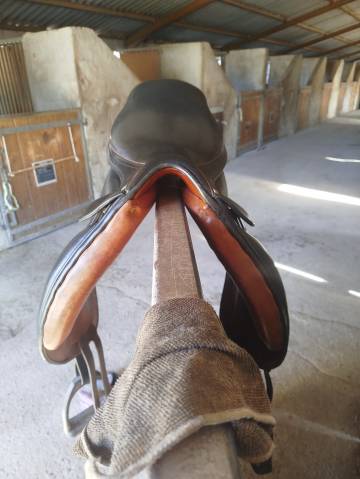 Selle forestier 