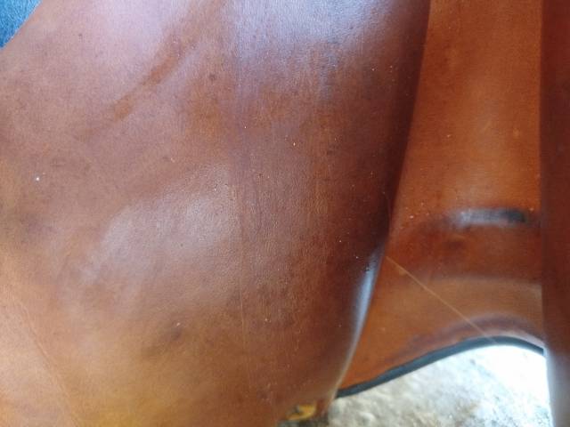 Selle forestier 