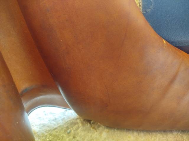Selle forestier 