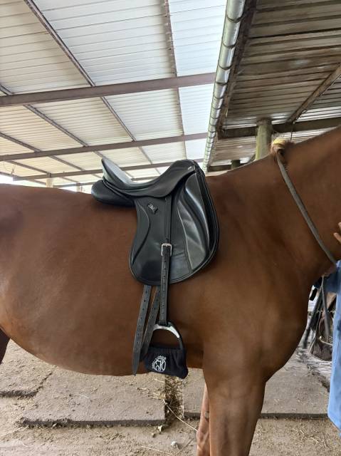 Selle de dressage ZALDI SANJORGE 16,5 pouces