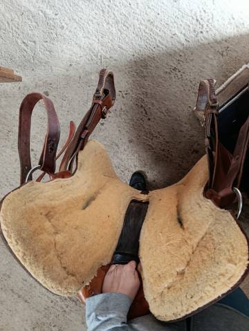 Selle western 