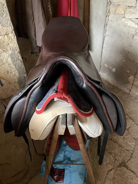 Selle type islandais 