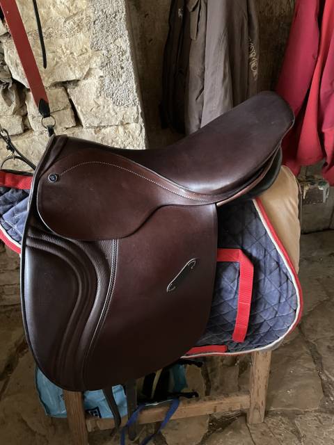 Selle type islandais 
