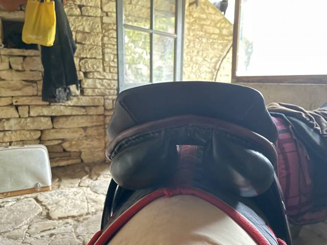 Selle type islandais 