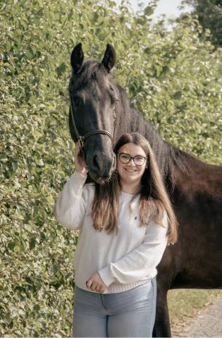 Frison &agrave; vendre 