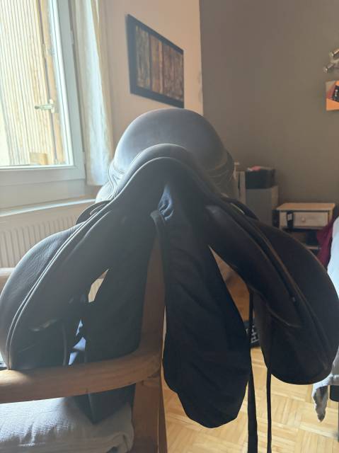 Selle d&rsquo;obstacle Antar&egrave;s