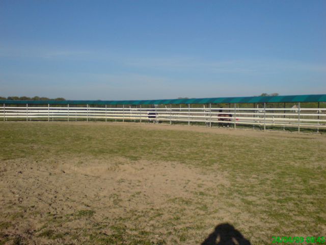 Marcheur Ovale Speed Horse Training jusqu'à 30 chevaux