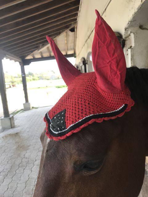 Bonnet rouge 