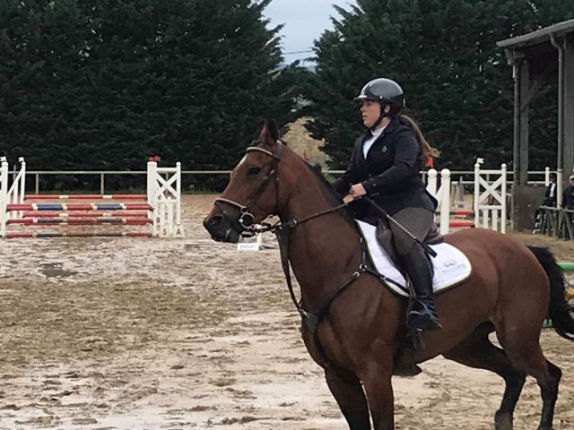 Collier de chasse Antares