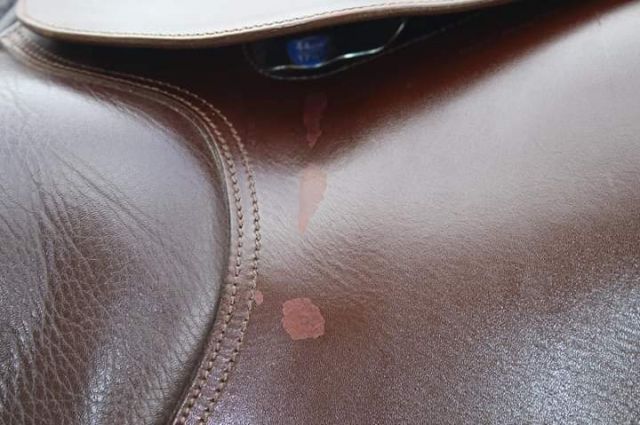 Selle Bates mixte 17.5