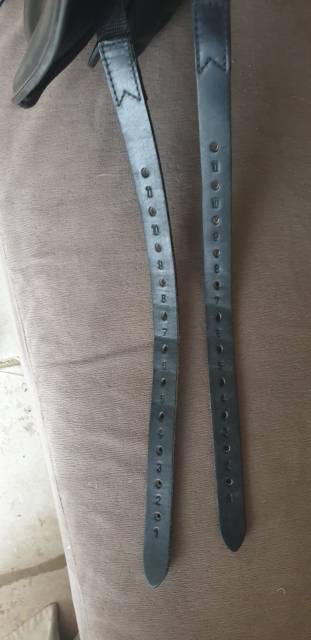 Selle dressage équiline