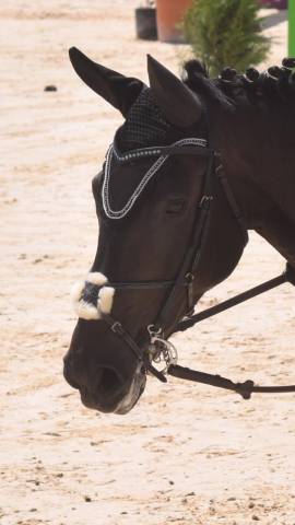 Filet taille cheval noir