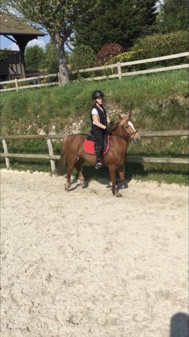 Air bag Helite super etat