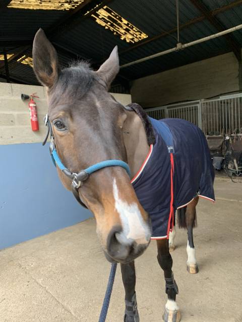 Couverture Pénélope 