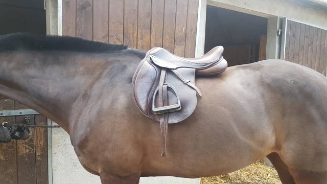 Selle Mixte Time Rider