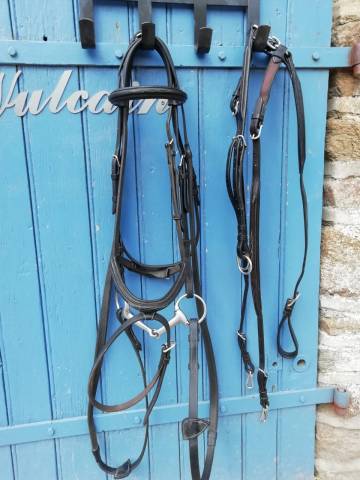 Ensemble lamicell cuir 