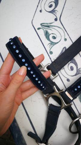 Licol bleu marine &agrave; strasse 