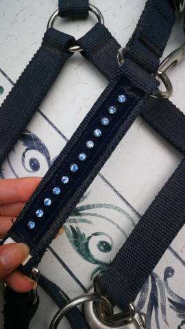 Licol bleu marine &agrave; strasse 