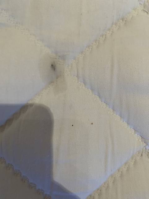 Ensemble tapis bonnet 