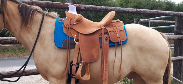 SELLE WESTERN WADE