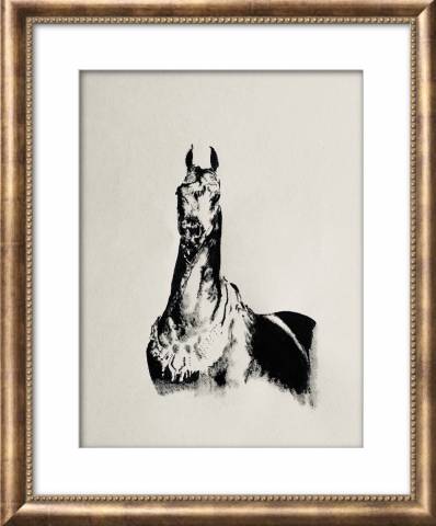 Tableaux de chevaux, poneys, ânes , chien 